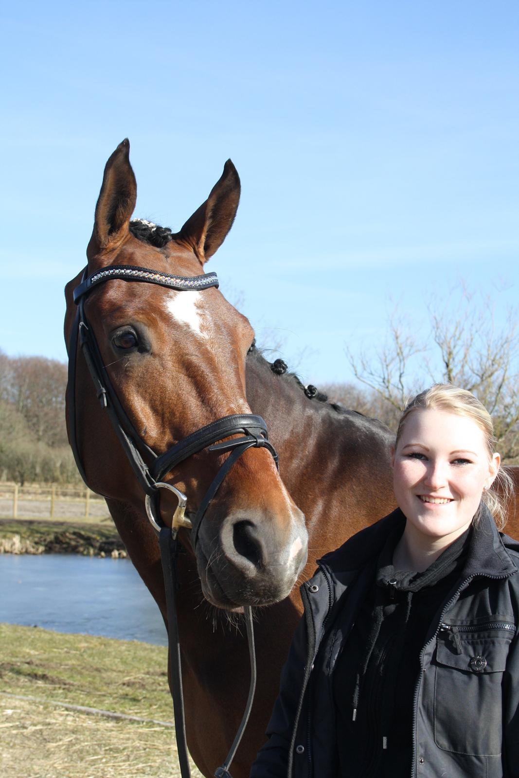 Dansk Varmblod First Move A.B. billede 3