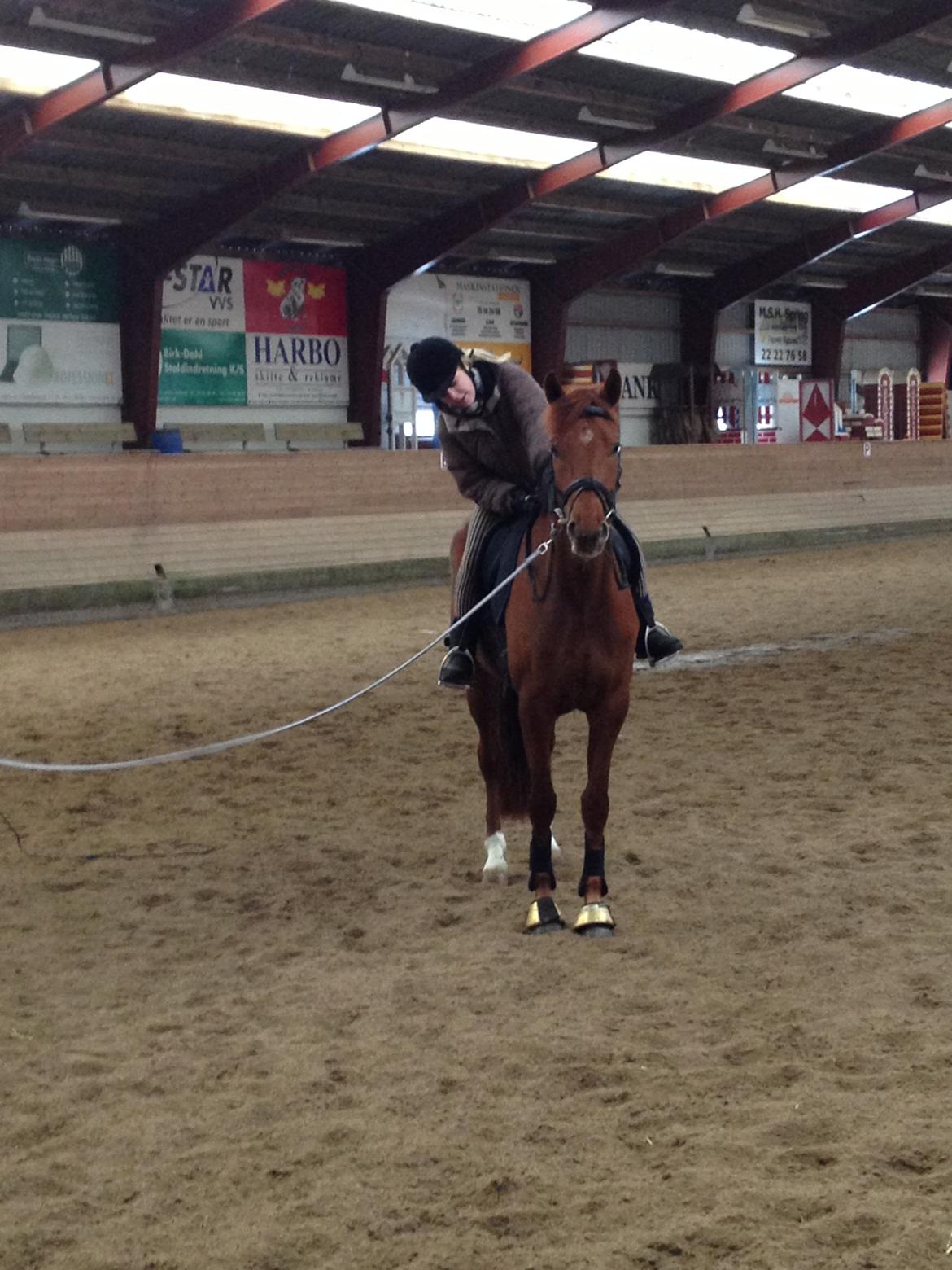 Dansk Varmblod Golden Three - 18/3-13 så er tilridningen igang!! Mig på ryggen af Fytte :-)  billede 7