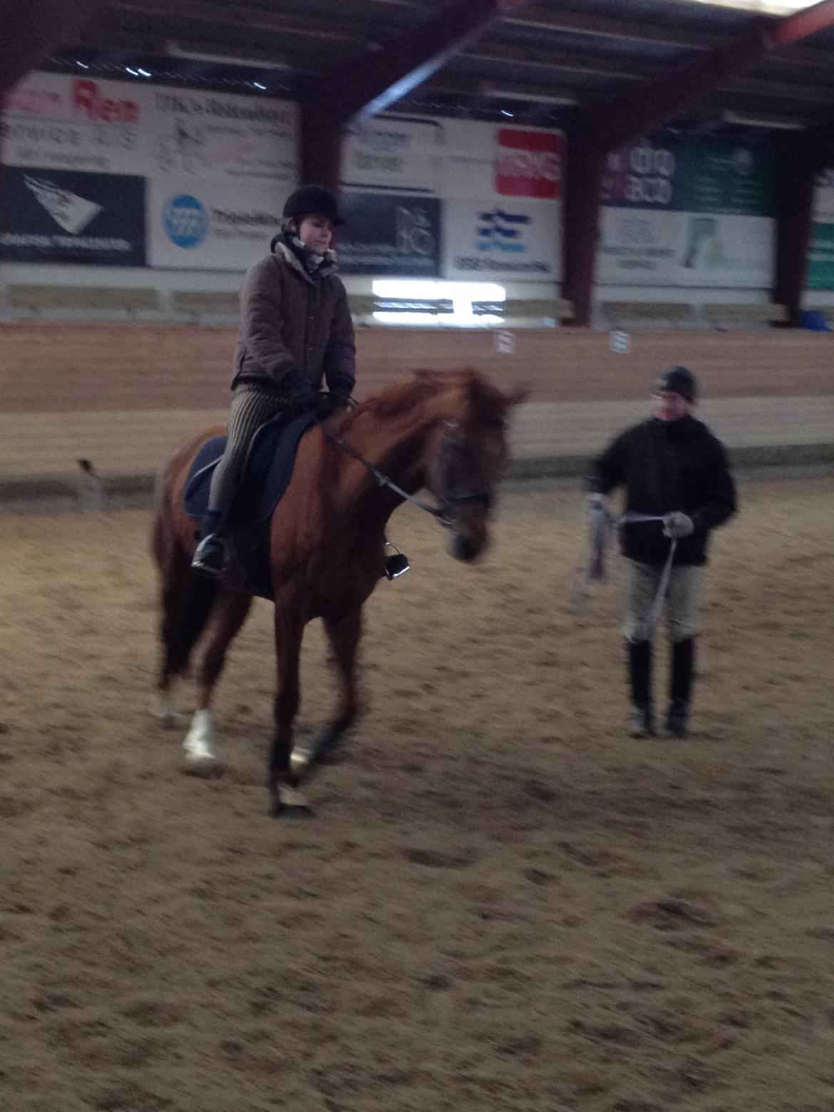 Dansk Varmblod Golden Three - 18/3-13 så er tilridningen igang!! Mig på ryggen af Fytte :-)  billede 8