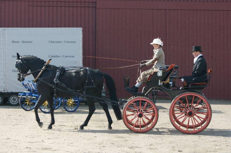 Oldenborg Sigersholmgårds Smilla billede 4