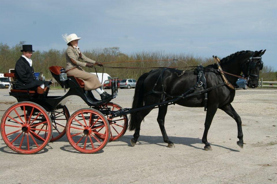 Oldenborg Sigersholmgårds Smilla billede 5