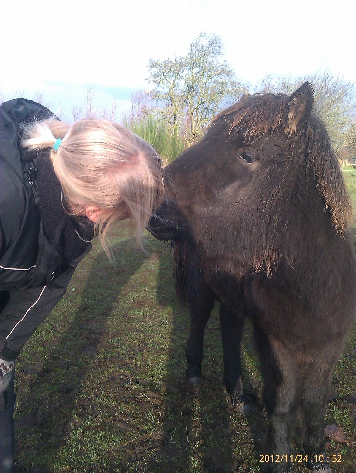 Islænder Ask fra Lundager - Ask kysser med Lisa ;) billede 5
