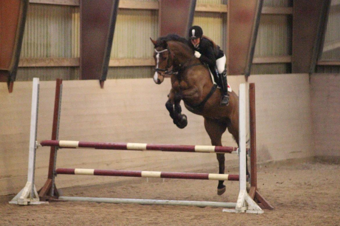 Holstener Ca-Reim billede 11