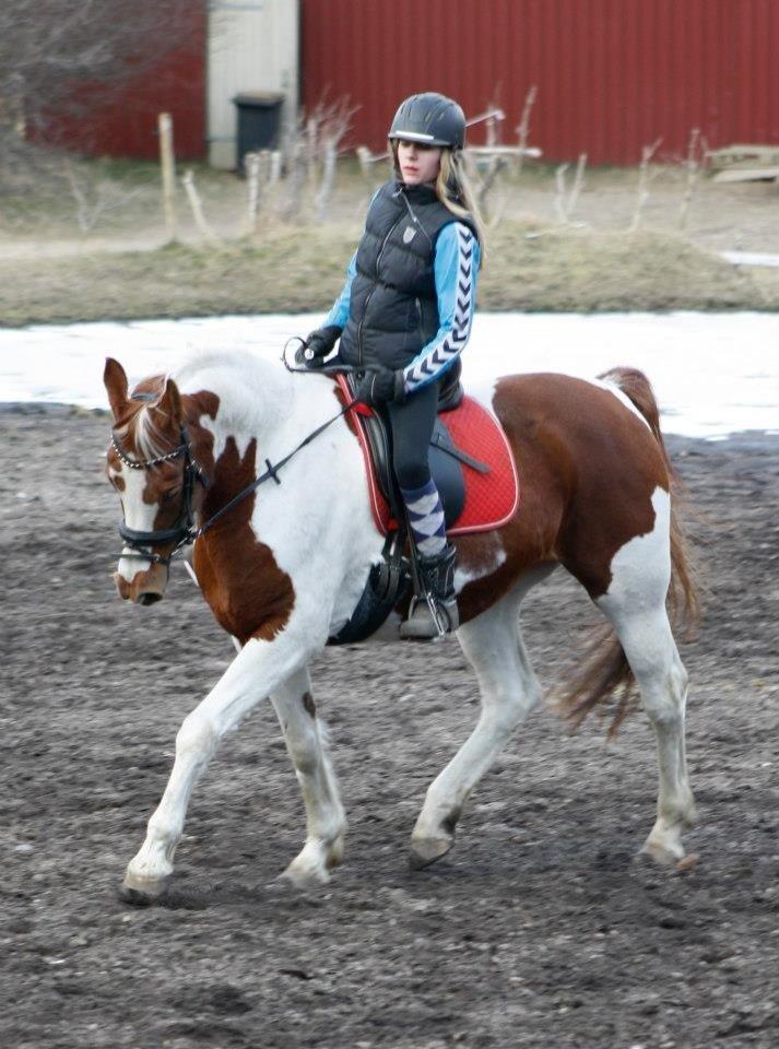 Pinto Dominique - Without you, i'm nothing. With you, i'm something. Together we are everything!
Taget af Stine Beeson billede 9