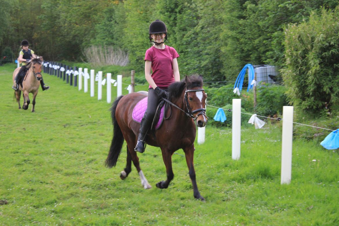 Anden særlig race Lady <3 - Ja der red vi jo på marken!! <3 billede 5