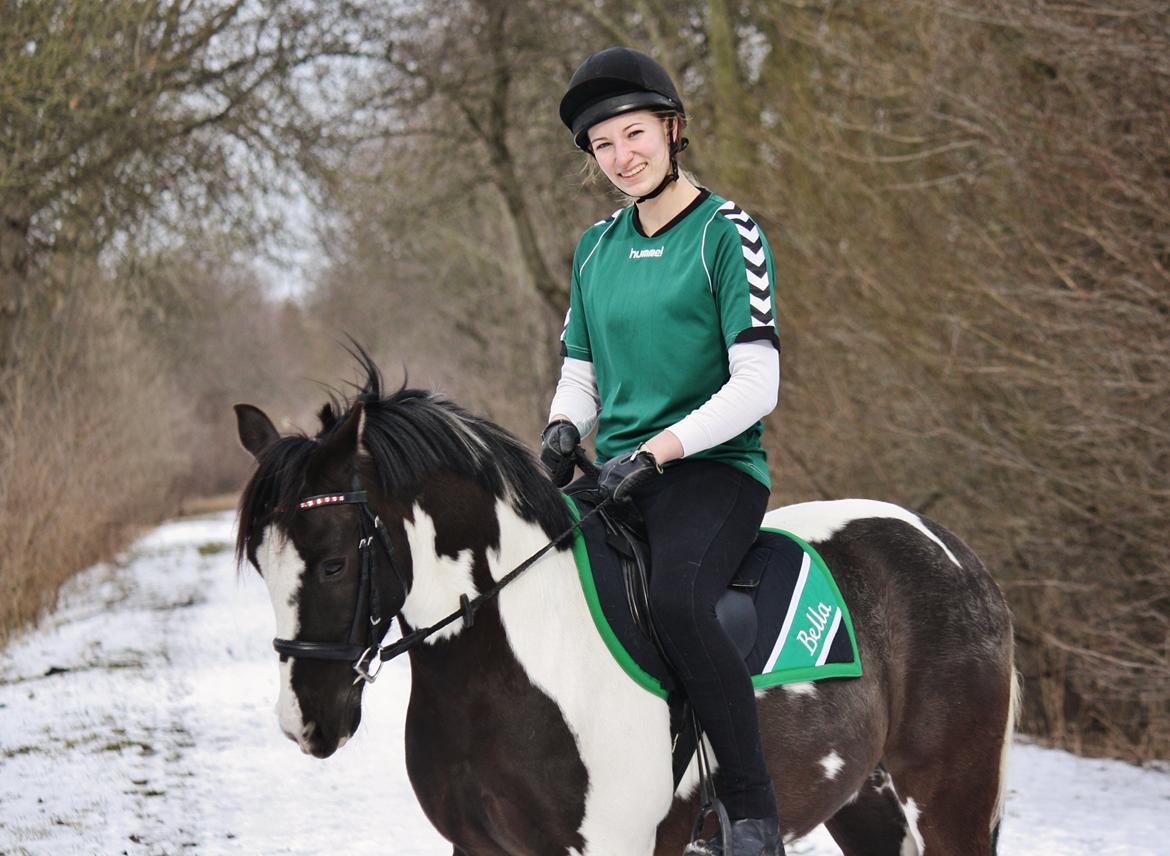 Lewitzer Gaspaspon II - Elsker ham for evig og altid billede 19