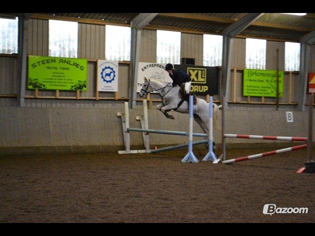 DSP Nørlunds Sally Maree - Stævne i HARK 2/3, LE eller LD spring for hest. billede 9