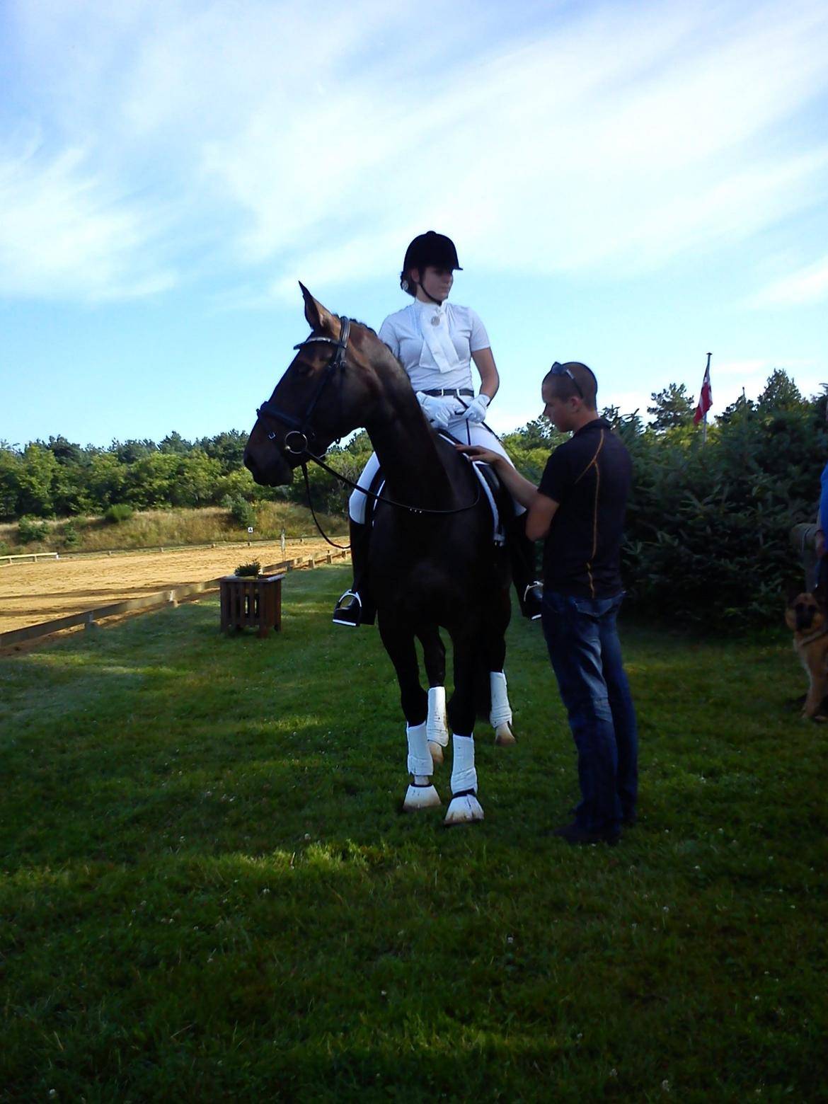 Anden særlig race Jolene Af Lindemose billede 6