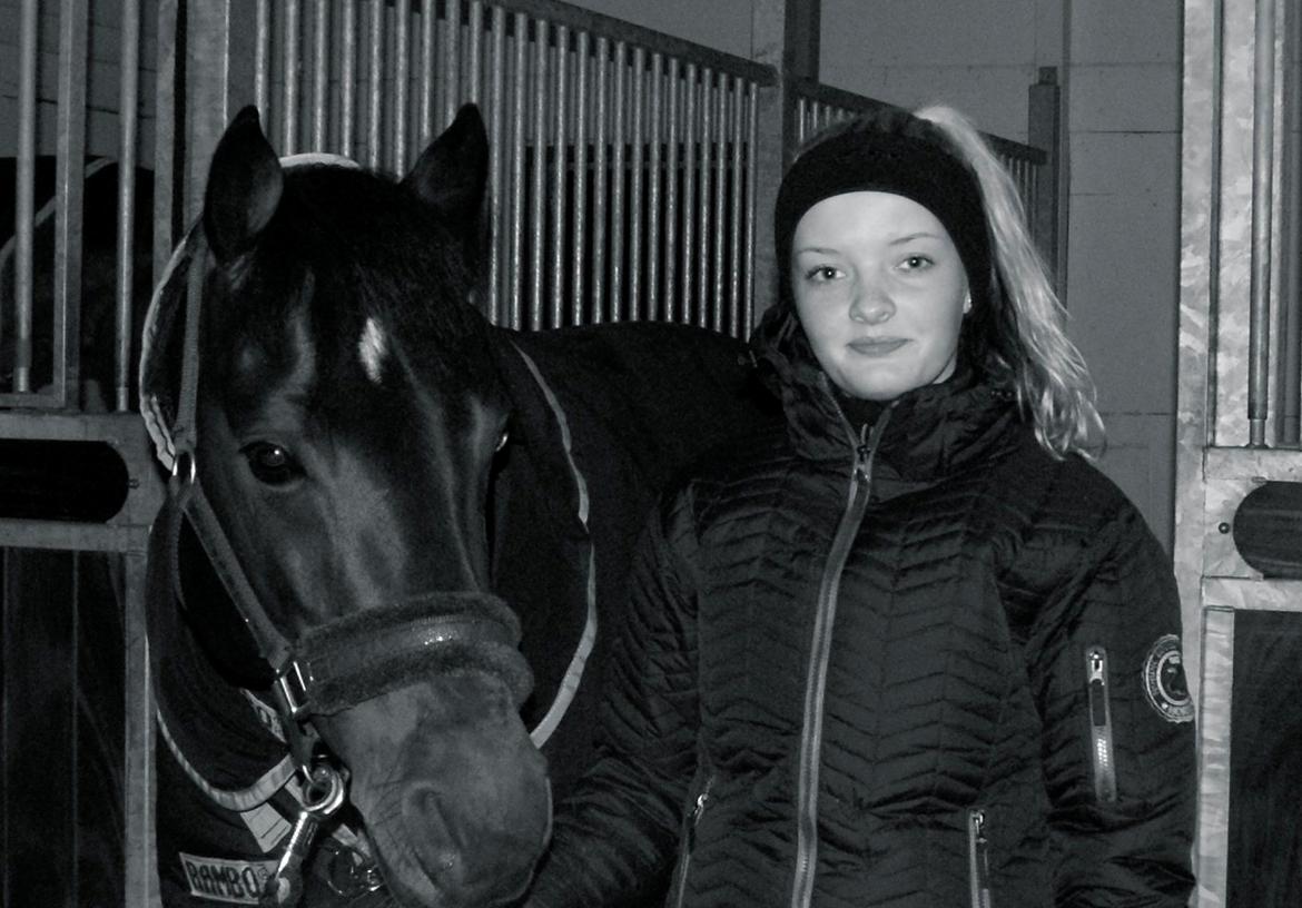 Welsh Partbred (Sec F) Bjerregårds Mozart billede 7