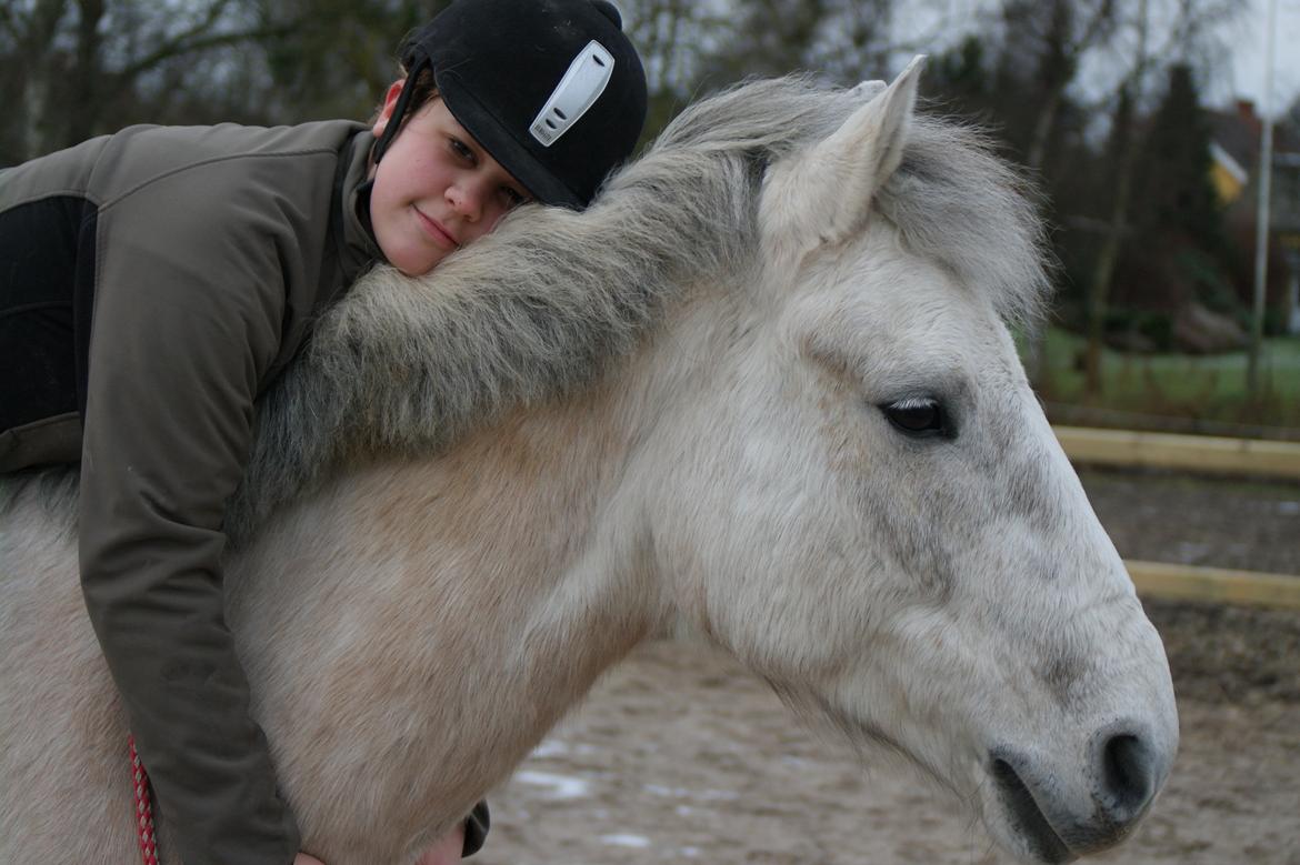 Anden særlig race silver (Min bedste ven) <3 - Min hygge-fis <3 billede 12