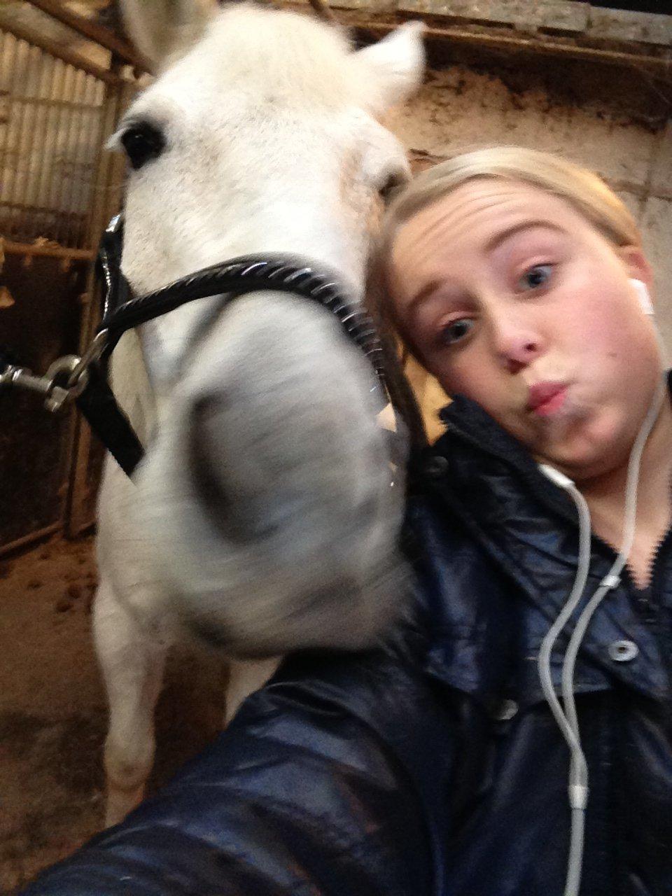 Anden særlig race Mickey billede 19