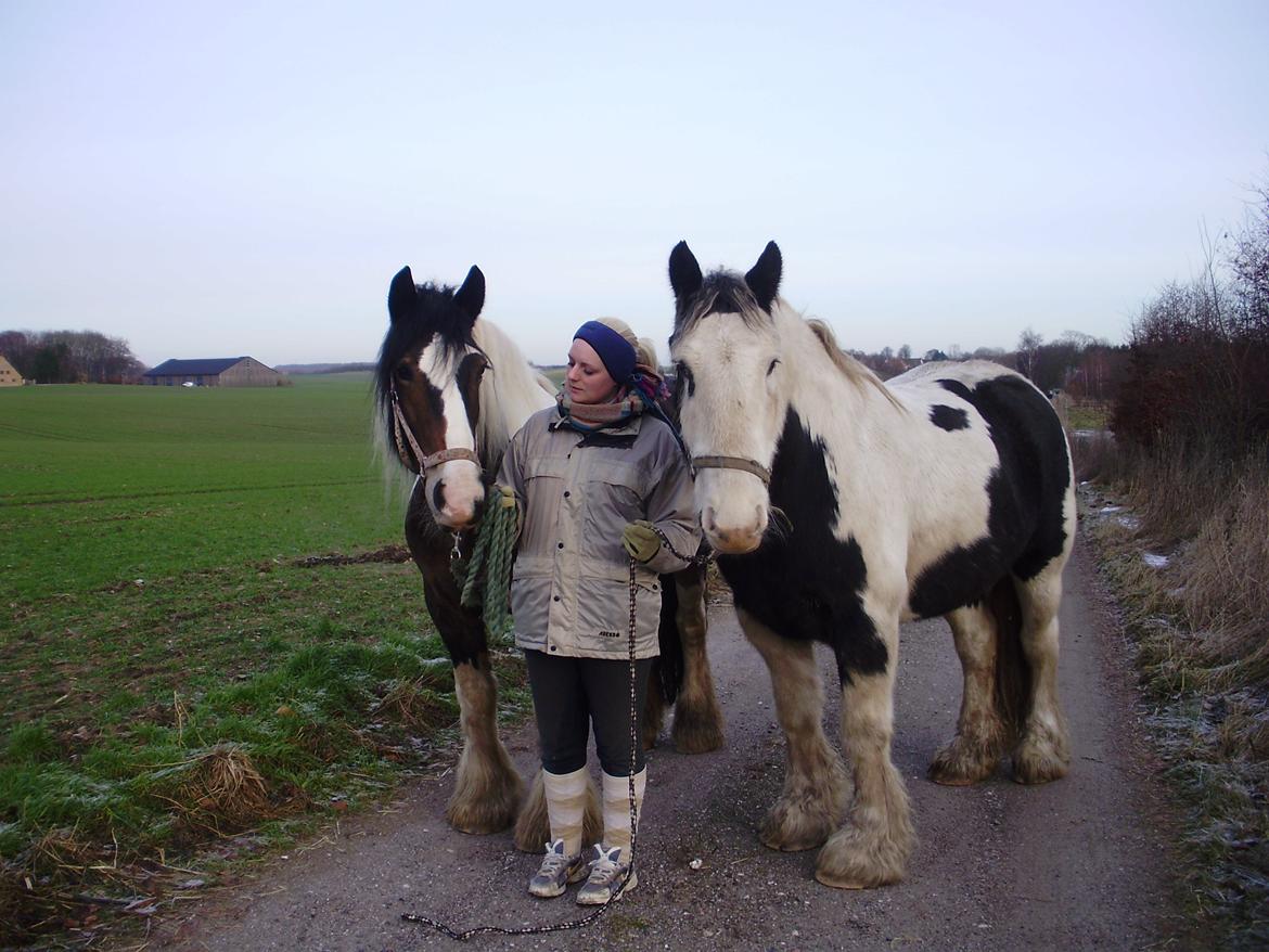 Irish Cob Grace O`Malley fan Kilewier - På gåtur sammen med min veninde Lea. billede 10