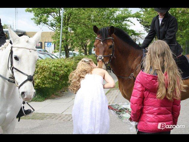 Anden særlig race Emil Lønneberg-springstjernen!!!<3R.I.P - only no you love him when toy let him go... <3 billede 4