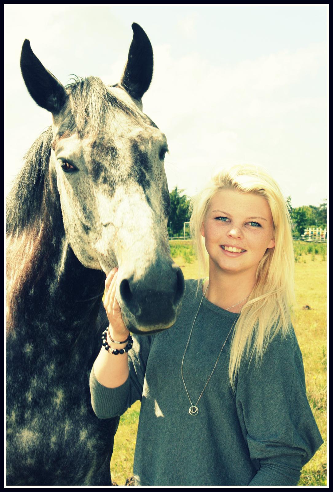 Dansk Varmblod Teglvangs Corriane Jong RDH *SOLGT* - Sommer 2012  billede 1