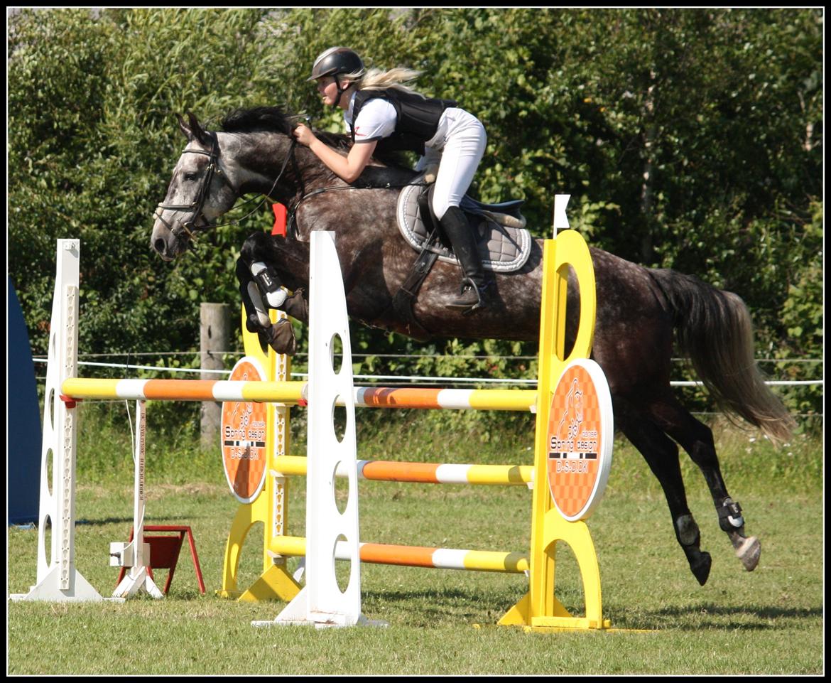 Dansk Varmblod Teglvangs Corriane Jong RDH *SOLGT* - Kongeå rideklub - sommer 2012 - C-stævne - LA billede 14
