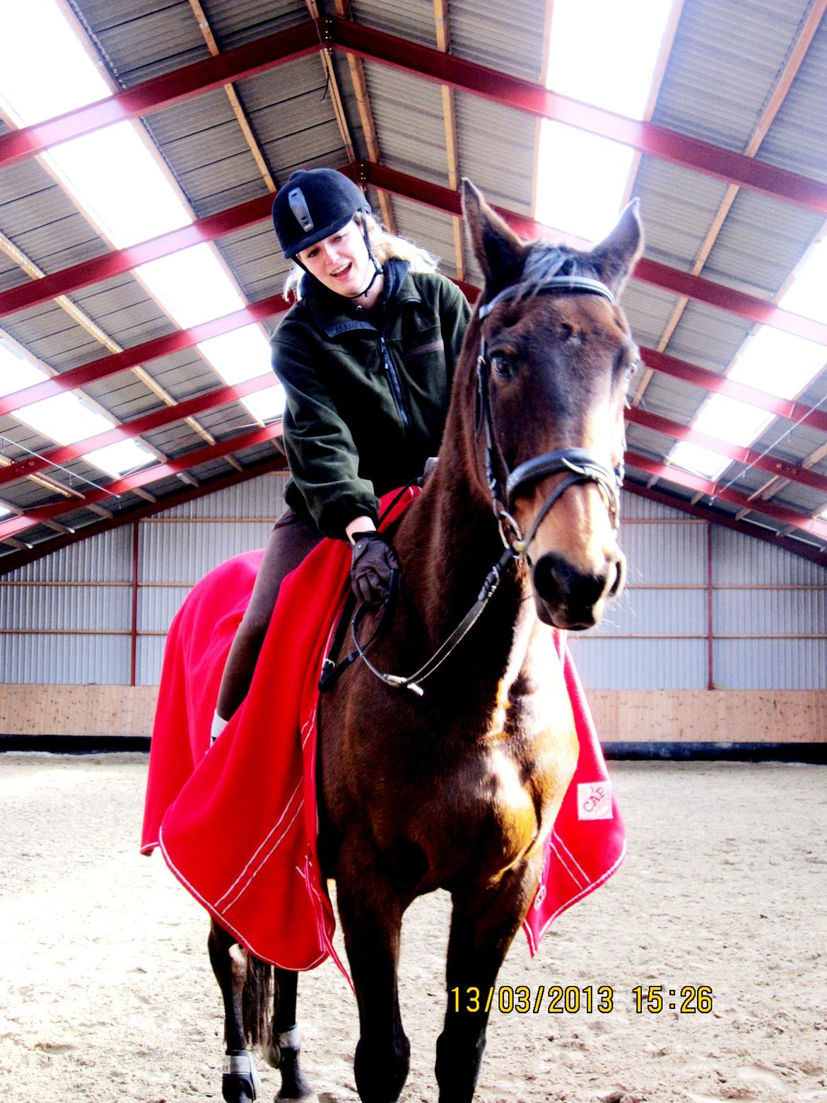 Dansk Varmblod Ran Frydenlund - Søde Rane'mor <3 billede 17