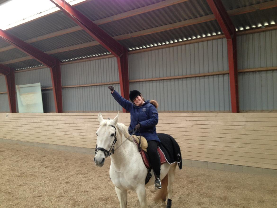 Lipizzaner Dalsø´s kiri billede 19