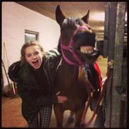 Pinto Dopendi Vesterlund