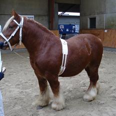 Jyde Findus Tindbæklund