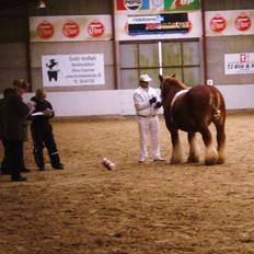 Jyde Findus Tindbæklund