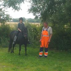 New Forest Miss bella R.I.P