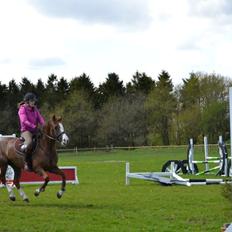 New Forest Just In Time