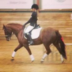 Anden særlig race Papaya