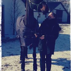 Holstener Ulana Lyngriis