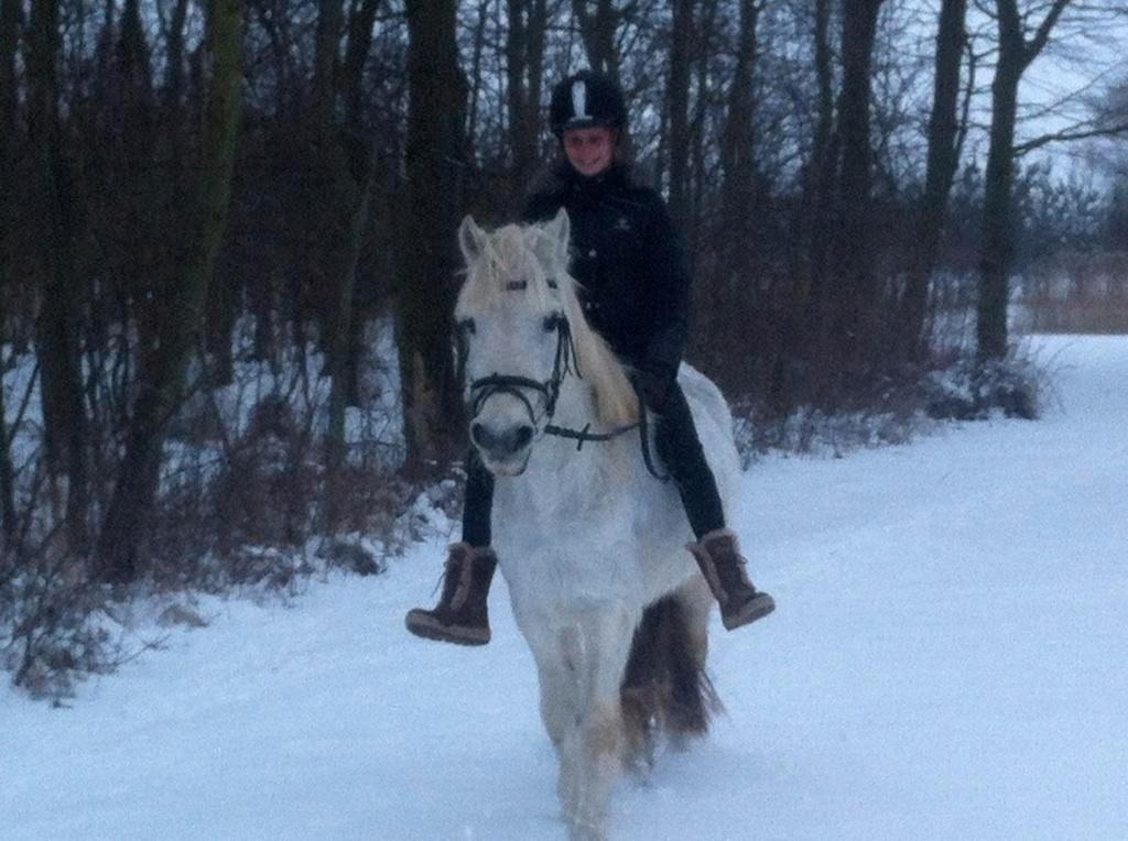 Anden særlig race AGRY  - 21 marts 2013. Der findes intet bedere end en dejlig tur i sneen på sin helt igennem fantastiske pony! billede 6