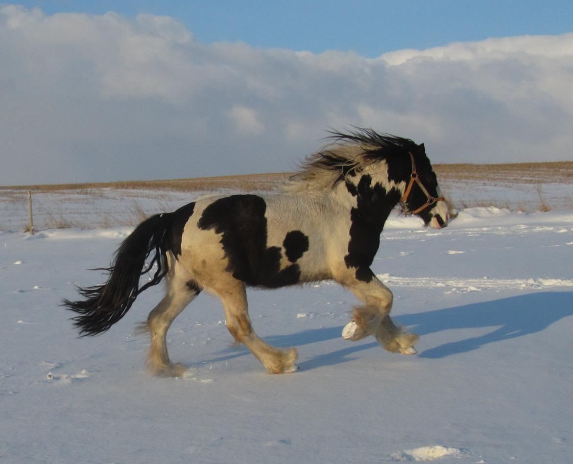 Tinker Unique Sielon <3  - # 1. Min smukke dreng <3 21 marts 2013 billede 3