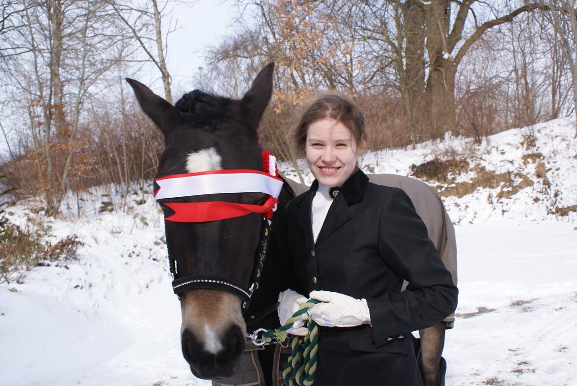 New Forest Dalgaardens Phoebe - Hov - tænd lige lyset, Laura!!! billede 10
