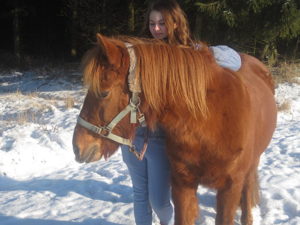 Anden særlig race Molly (SOLGT) <3 - Vil gå gennem ild og vand for dig!<3 billede 9