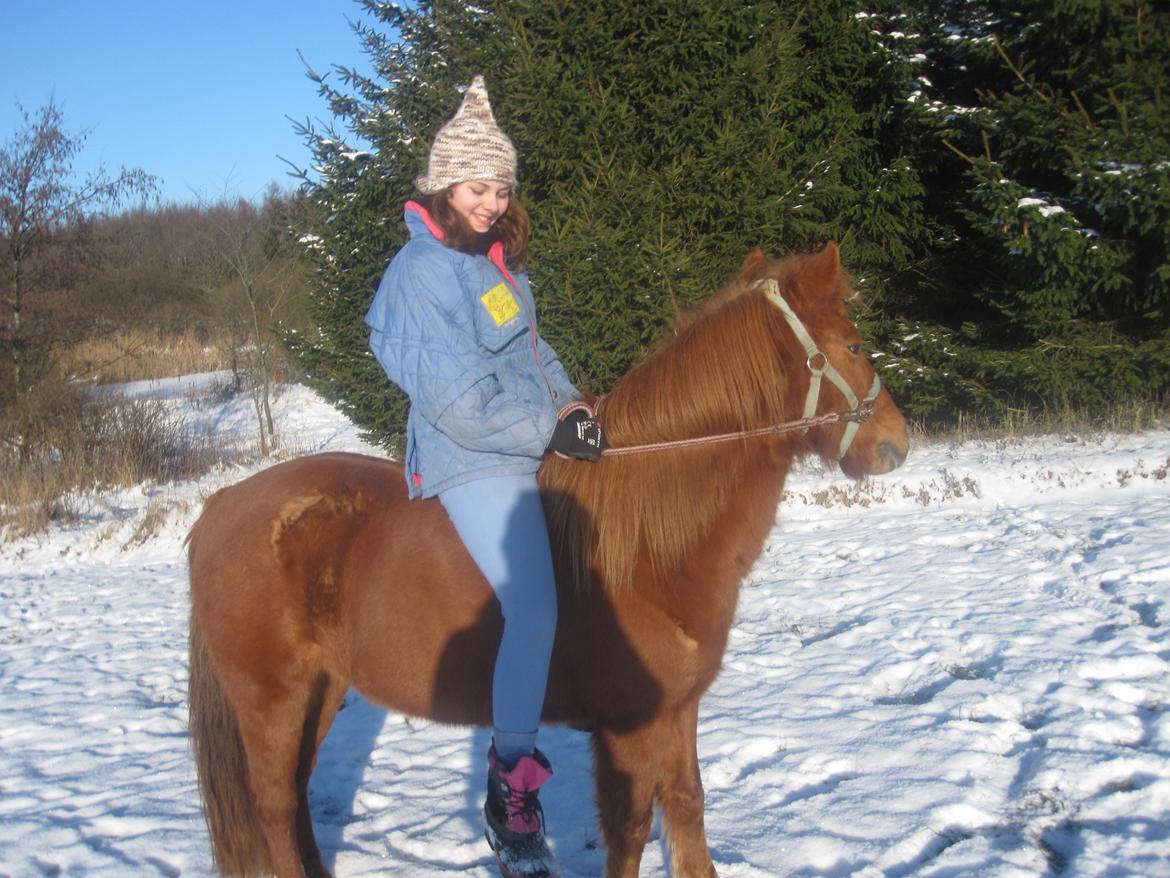 Anden særlig race Molly (SOLGT) <3 - Ikke alle kan man stole på, men dig ved jeg at jeg kan!<3 billede 10