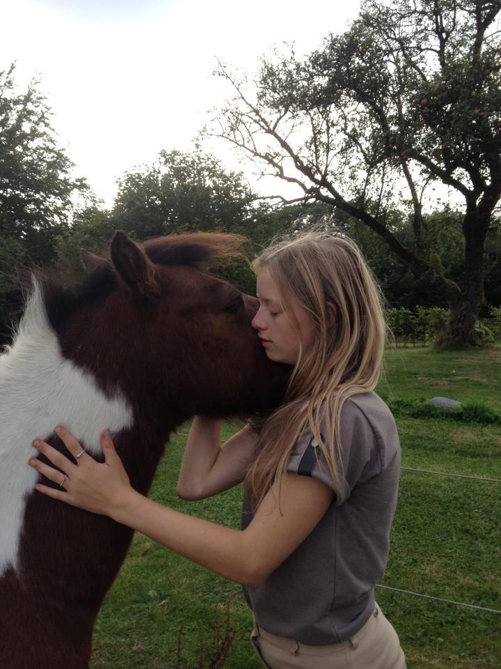 Pinto Mosegårdens Eddieson Fox (Baby) - I will never forget this day! <3 :*  billede 12