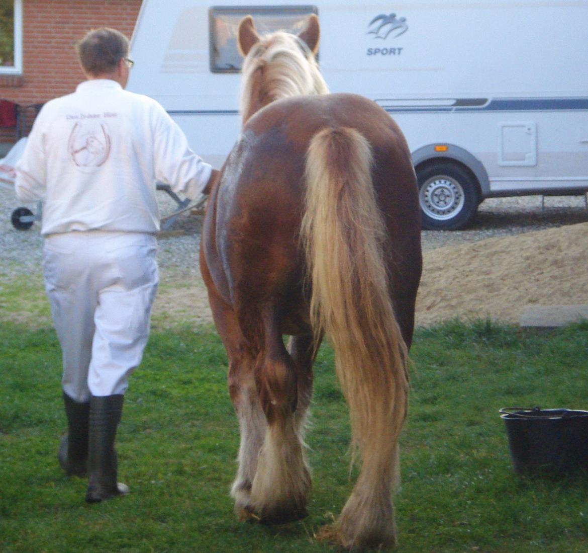 Jyde Findus Tindbæklund billede 10