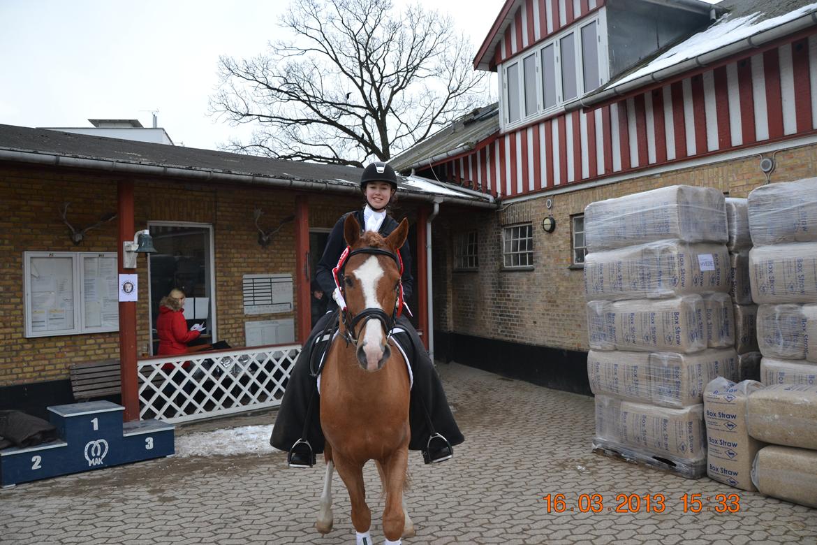 DSP Red Rebel Vrå (Rolf) billede 3