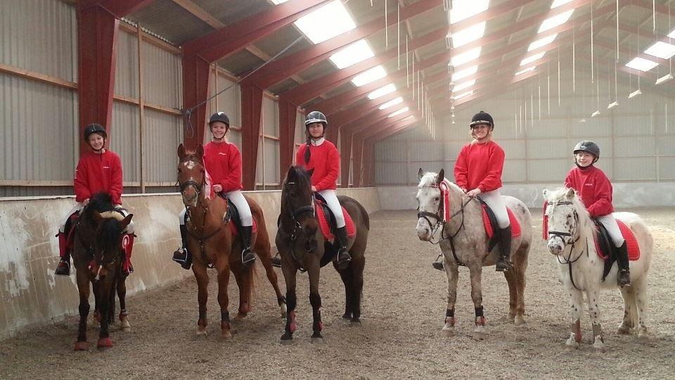 New Forest Bella - Præmieoverrækkelse til det første kval stævne i ponygames 2013! <3 1. plads ;-) billede 10