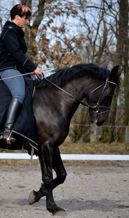 Oldenborg Almsgaards olympia billede 2