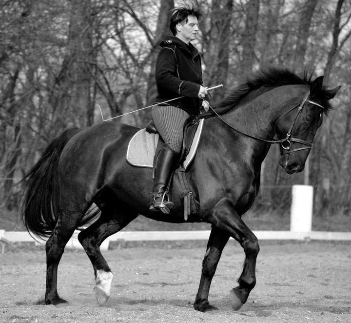 Oldenborg Almsgaards olympia billede 4