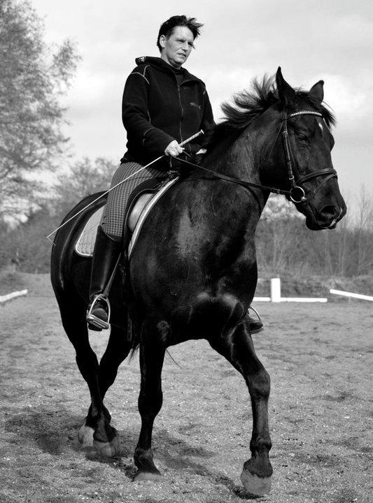 Oldenborg Almsgaards olympia billede 8