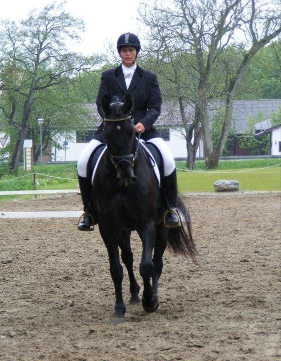 Oldenborg Almsgaards olympia billede 13