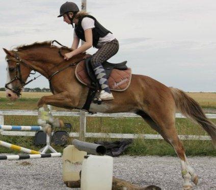 Anden særlig race Amadeus *Ama* billede 16