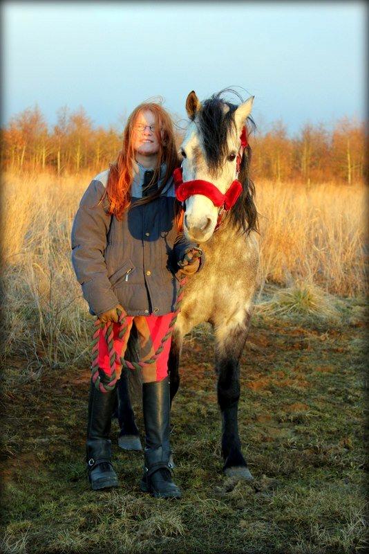 Dartmoor Innis Jerry. (Tidligere pony < 3) - Smukke Jerry og jeg marts 2013 billede 12