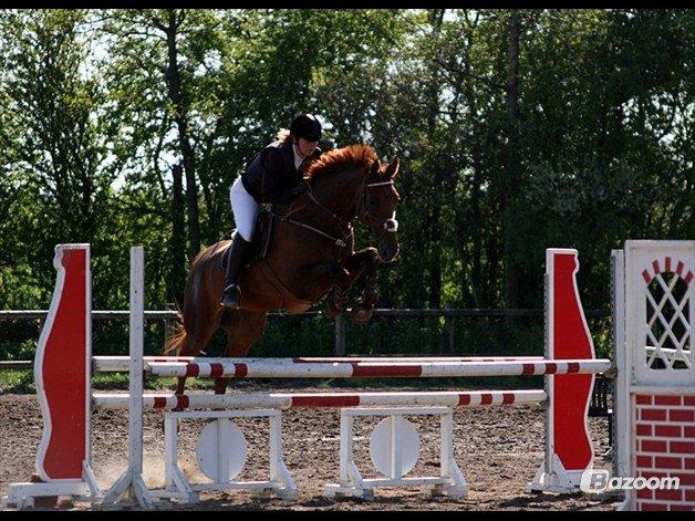 Dansk Varmblod Capella S - Capella og ejer til stævne :) billede 10