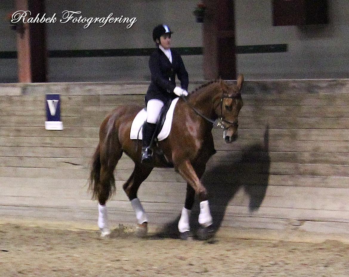 Dansk Varmblod Capella S - Pelle og jeg til vores første stævne sammen.<3 billede 11