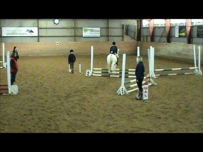 Anden særlig race Plet/Pletten [ELEVPONY] red billede 8