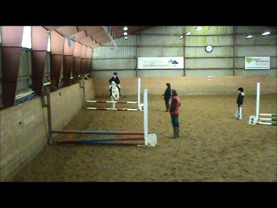 Anden særlig race Plet/Pletten [ELEVPONY] red billede 9