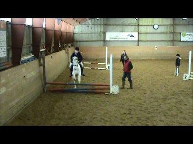 Anden særlig race Plet/Pletten [ELEVPONY] red billede 10