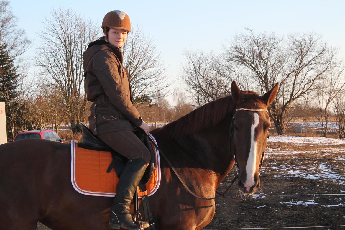 Anden særlig race Coco billede 2