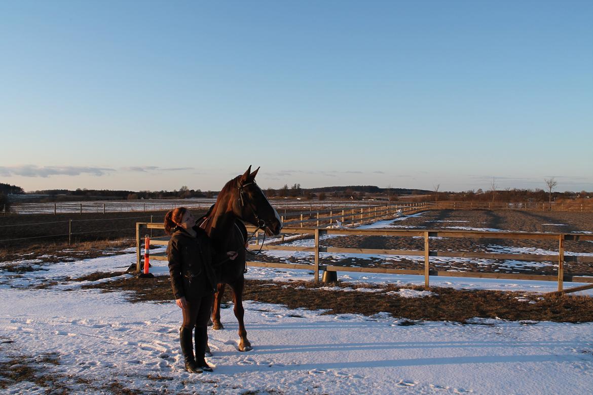 Anden særlig race Coco billede 10